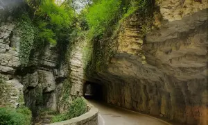 Strada della forra in moto, un percorso suggestivo tra rocce scolpite e vegetazione lussureggiante, con un tunnel che si apre nel verde.